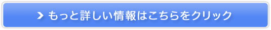 11fW^PÁmfXN[NnŃu[Cg΍̔TCg